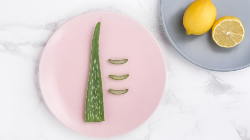 edible aloe