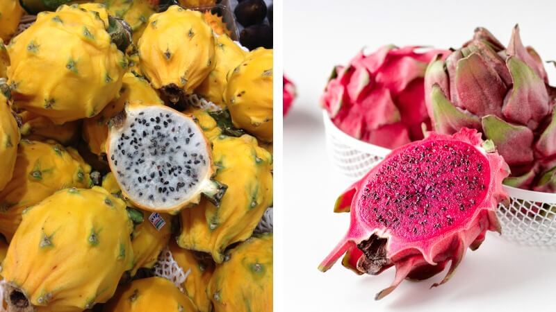 yellow and red dragon fruit