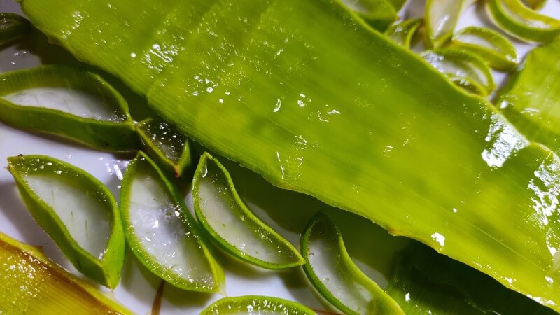 aloe pulp