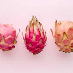 Edible Succulents